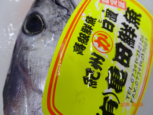 DSC04924.JPG