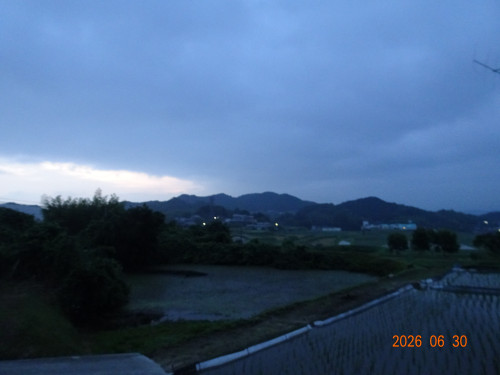 DSC04954.JPG