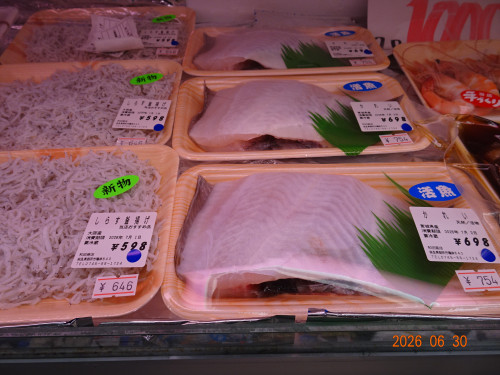 DSC04978.JPG
