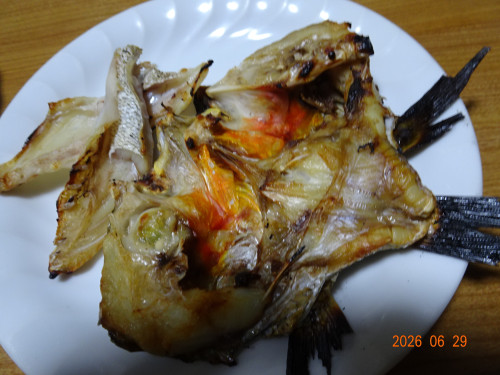 DSC04947.JPG