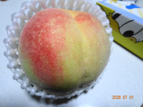 DSC05002.JPG