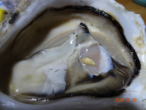 DSC04989.JPG