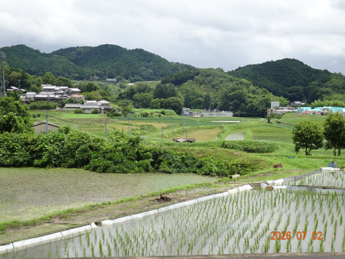 DSC05009.JPG