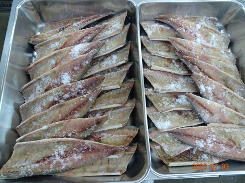 DSC05031.JPG