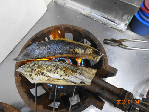 DSC05049.JPG