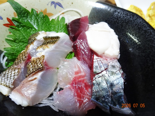 DSC05075.JPG