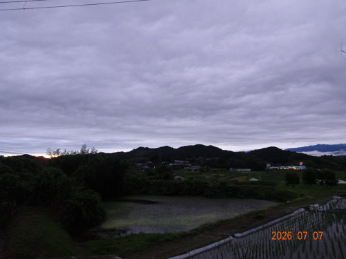 DSC05094.JPG