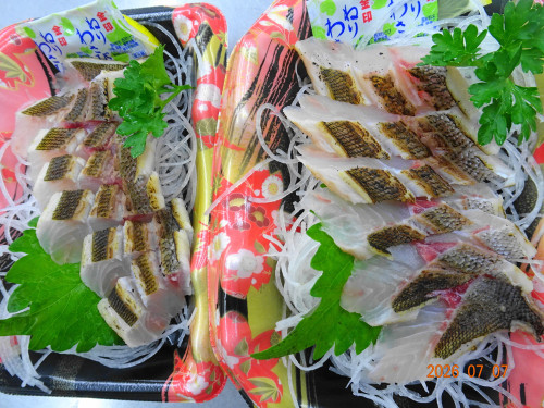 DSC05098.JPG