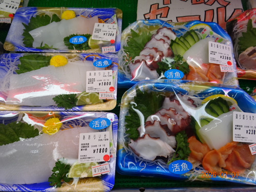 DSC05115.JPG
