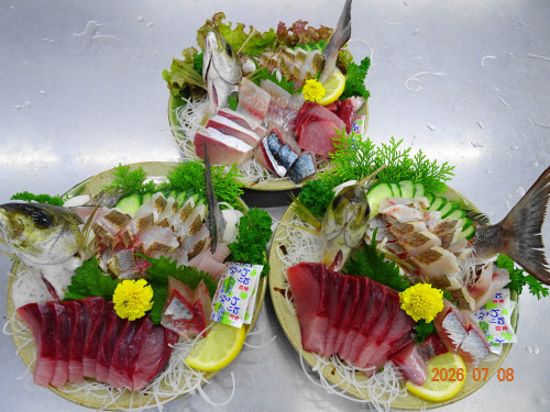 DSC05155.JPG