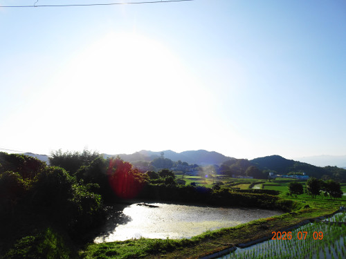 DSC05162.JPG
