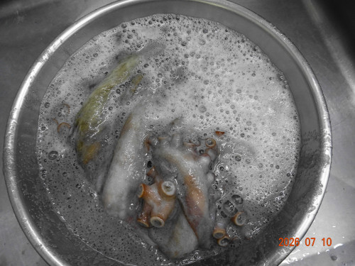 DSC05177.JPG
