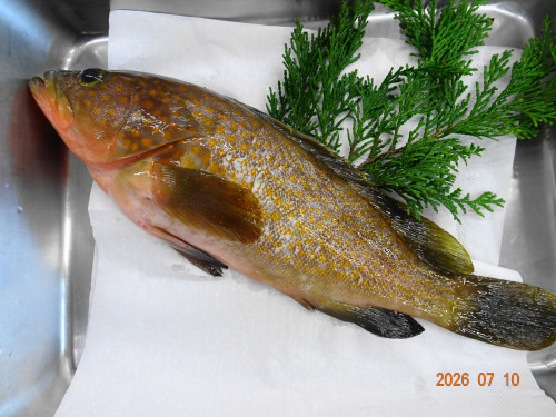 DSC05186.JPG