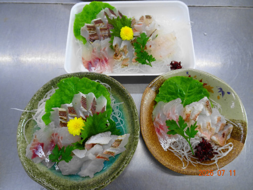 DSC05205.JPG