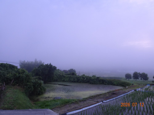 DSC05222.JPG