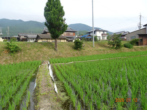 DSC05224.JPG