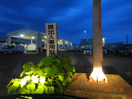 DSC05232.JPG