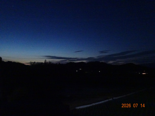 DSC05257.JPG