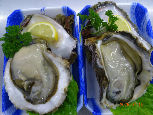 DSC05258.JPG