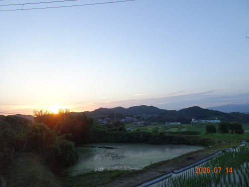 DSC05262.JPG