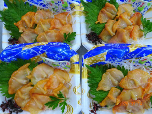 DSC05271.JPG