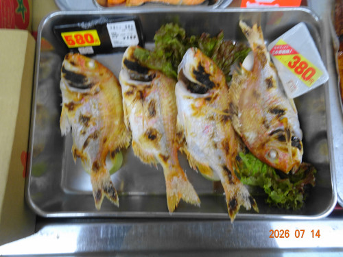 DSC05275.JPG