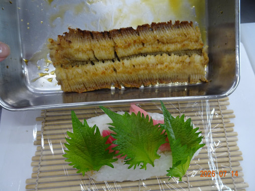 DSC05284.JPG