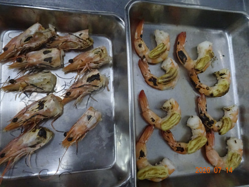 DSC05290.JPG