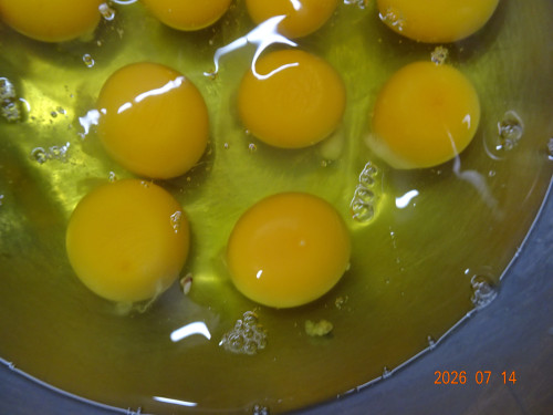 DSC05291.JPG
