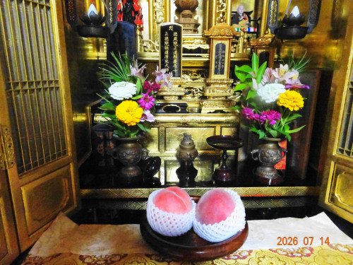 DSC05294.JPG