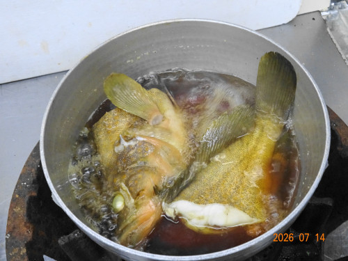 DSC05293.JPG