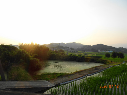 DSC05376.JPG