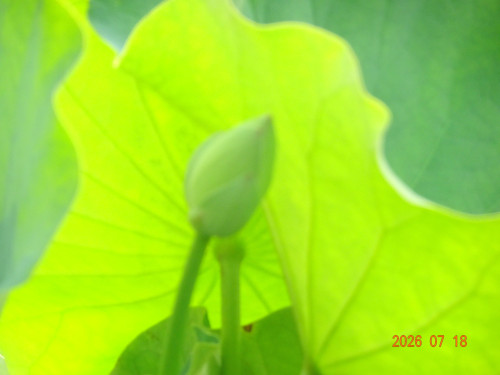 DSC05379.JPG