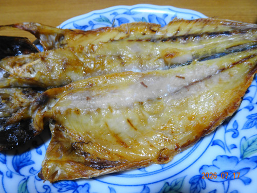 DSC05374.JPG