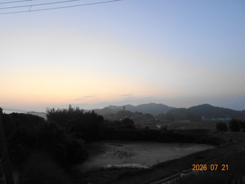DSC05431.JPG