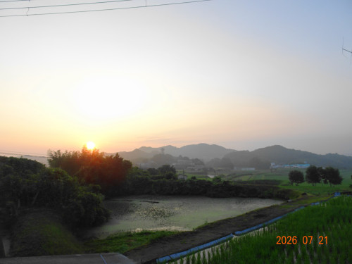 DSC05434.JPG