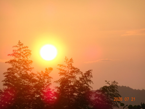 DSC05435.JPG