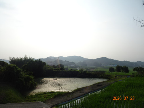 DSC05475.JPG