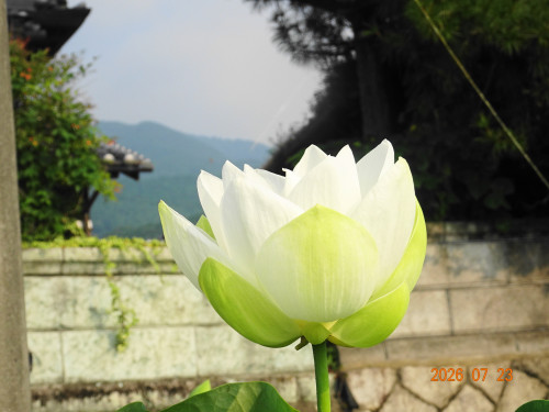 DSC05480.JPG