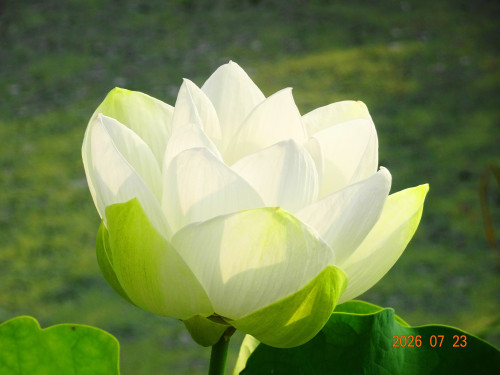 DSC05481.JPG