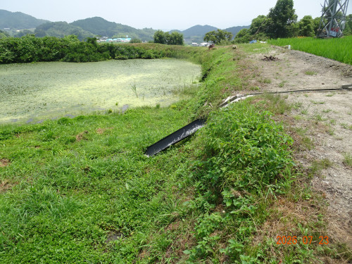 DSC05486.JPG