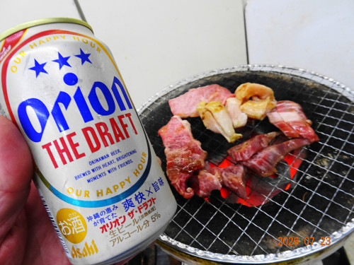 DSC05489.JPG