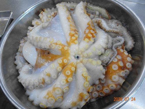 DSC05497.JPG