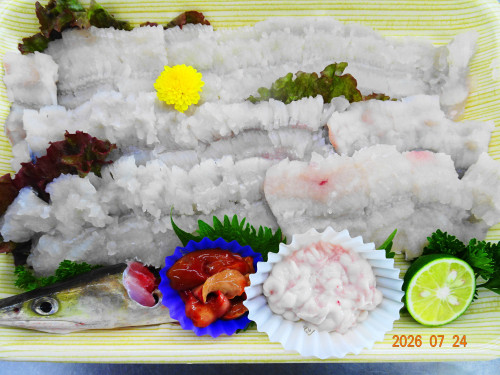 DSC05511.JPG