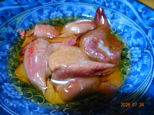 DSC05521.JPG