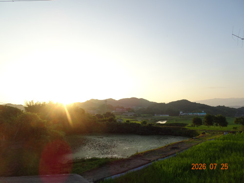 DSC05522.JPG