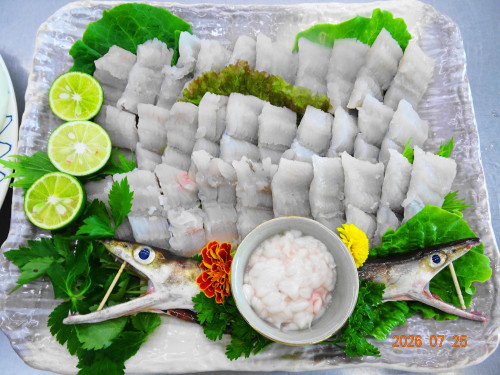 DSC05536.JPG