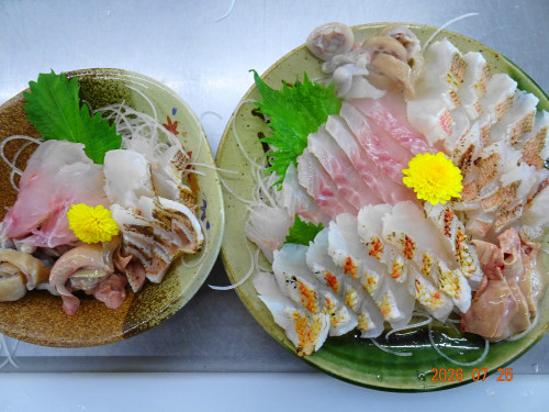 DSC05543.JPG