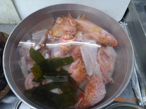 DSC05545.JPG