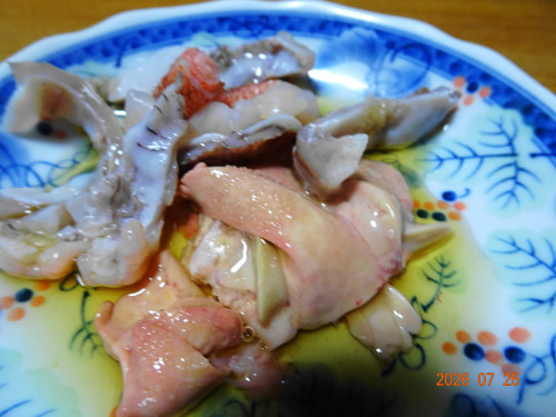 DSC05549.JPG